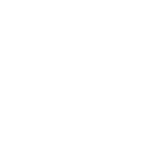 CHAOTIC BIKER APPAREL